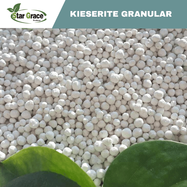 Kieserite Fertilizer for Oil Palm