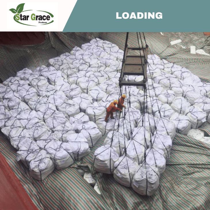 NPK Fertilizer Price